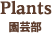 Plants 園芸部