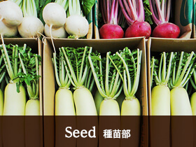 seed 種苗部