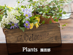 plants 園芸部