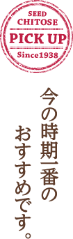 今の時期1番のおすすめです｡