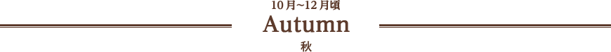 10月〜12月頃 Autumn 秋