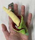 植物コレクション　ショウダイオオコンニャク　キーチェーン
