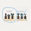 HATONE(ハトネ)インデックス　フィルムふせん【サボテン】