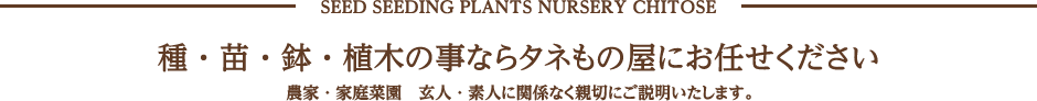 SEED SEEDING PLANTS NURSERY CHITOSE  種・苗・鉢・植木の事ならタネもの屋にお任せください  農家・家庭菜園　玄人・素人に関係なく親切にご説明いたします。