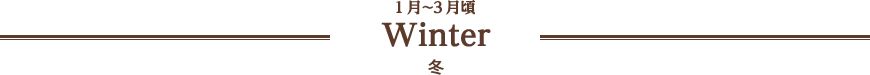 1月〜3月頃 Winter 冬